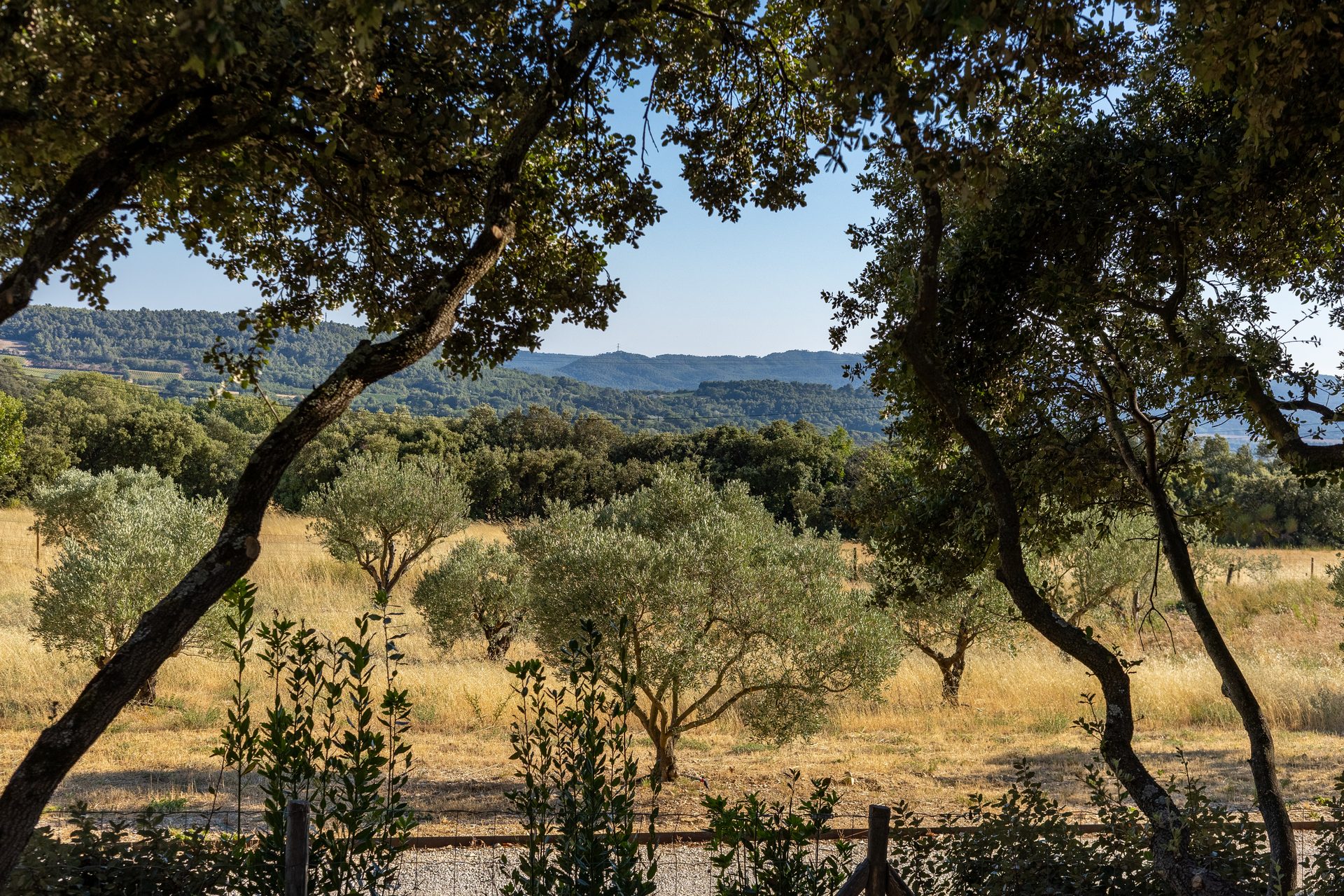 Vue sur le Luberon